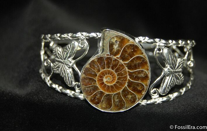 Ammonite Bracelet #643